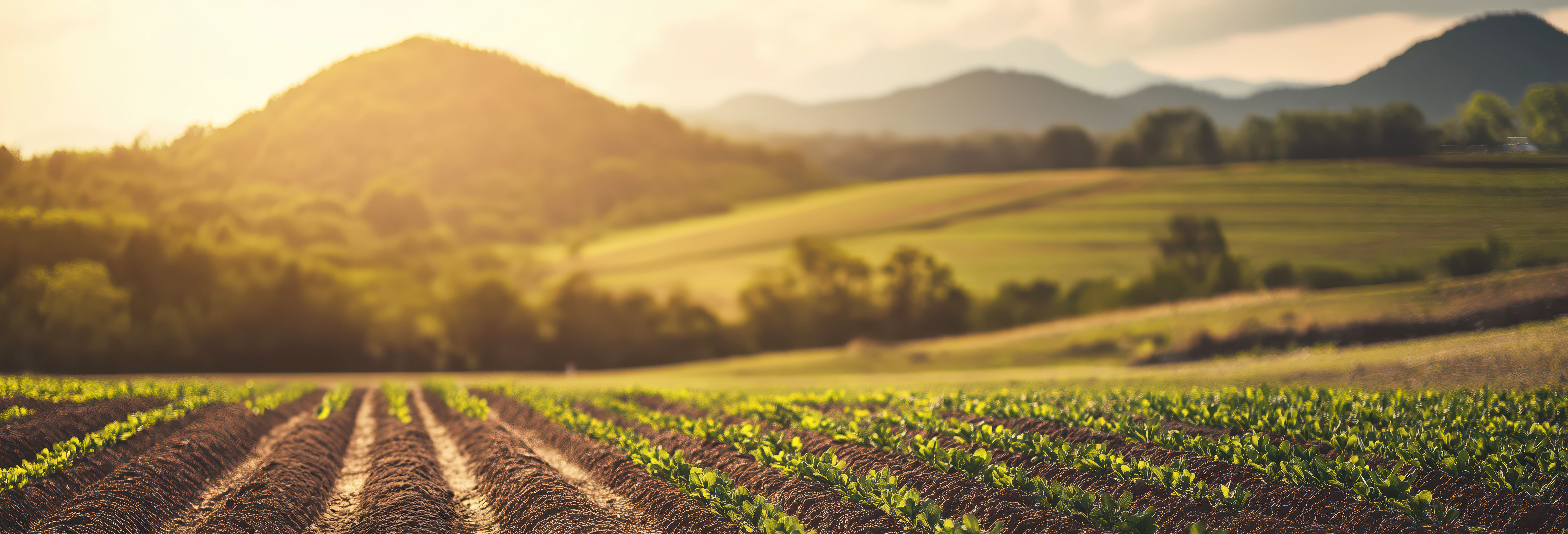 Slide 2 - Agro & Jardim